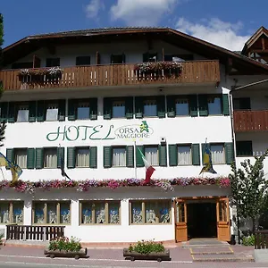 Orsa Maggiore İtalya